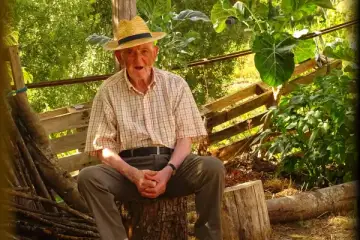 A Poesia do Tempo Cumprido: "Dia Internacional do Idoso"