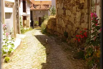 “Cimo de Vila - antes, tão cheia, ... agora tão sozinha”  -  Águas Frias – Chaves - Portugal