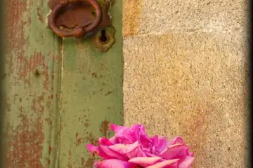 A Elegia do Tempo: A Rosa que se Desfolha e a Porta que se Despinta