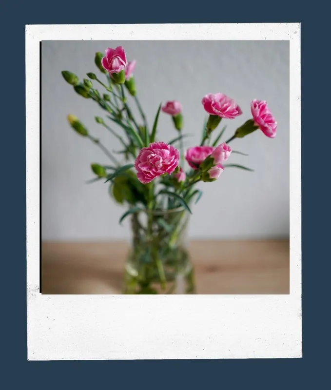 Flores