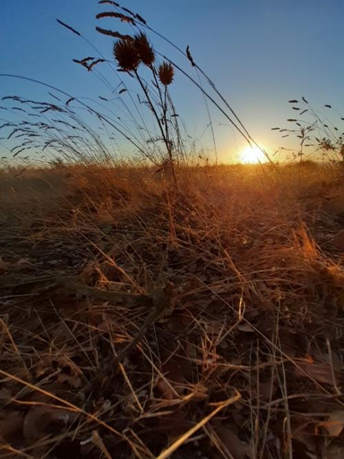 Dizem que hoje é Dia Mundial da Fotografia