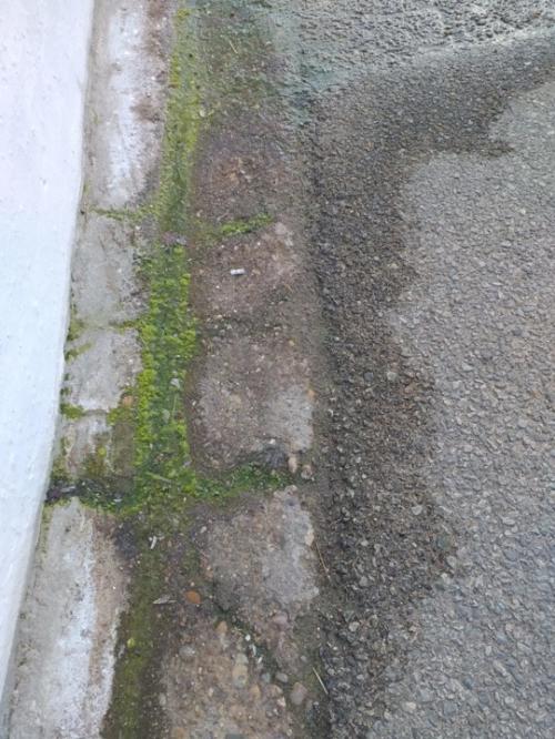 O Exemplo devia vir da Câmara Municipal de Serpa