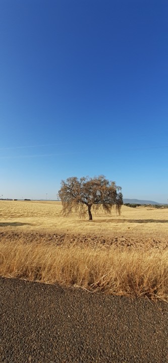 Antídoto às fotografias de praias