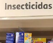 «Aborto ortográfico: nem as melgas o entendem»