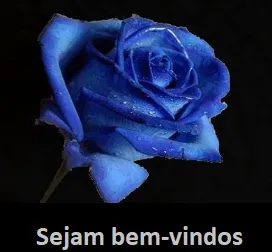 Bem-vindos