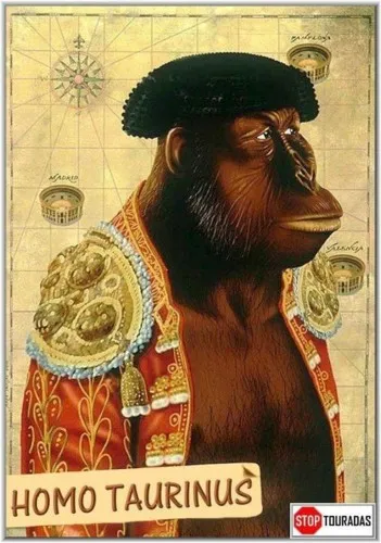 Há vários géneros de indivíduos entre a Espécie “Homo”, e um deles é o “Homo Taurinus”