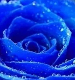 O meu mundo pintado de azul…