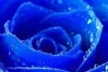 O meu mundo pintado de azul…