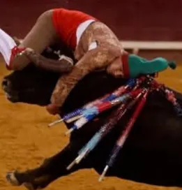 Tauromaquia: Património Cultural Imaterial????