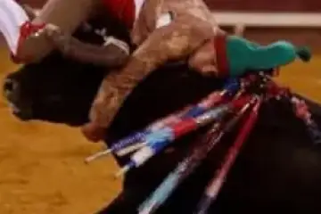 Tauromaquia: Património Cultural Imaterial????