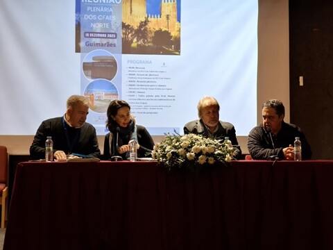 19a_Reuni&atilde;o_CFAE_norte_Caldas_da_Taipas (13).jpg