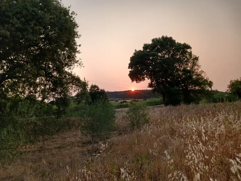 Final de tarde