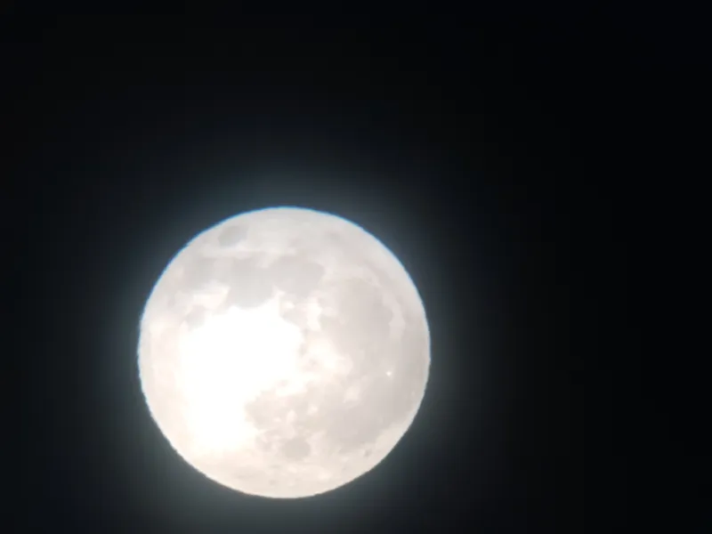 Lua de Cervo