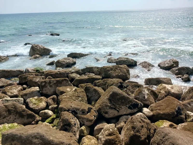 Na Costa de Caparica