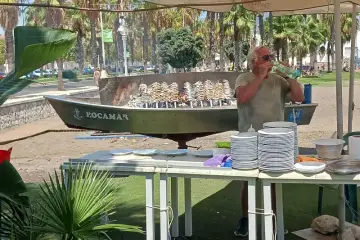 Sardinhas