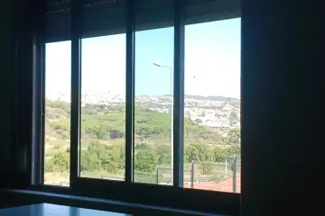 Vista