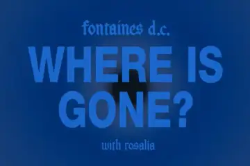 Where Is Gone?