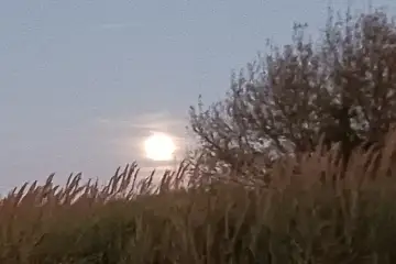 Lua do Caçador