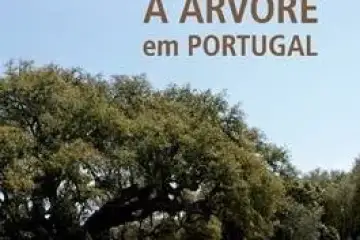 Livros