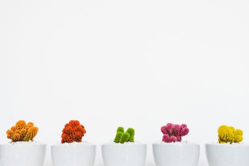 Minimalismo: mudar por dentro e por fora