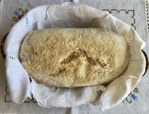 Pão de Mistura e Especiarias