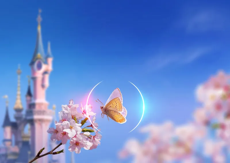 Entre a magia e a realidade: O meu primeiro capítulo em Paris