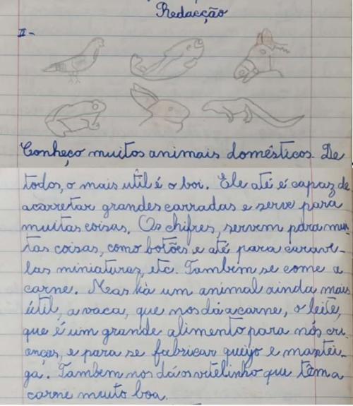 Animais_domesticos.JPG