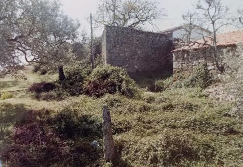 Silvado_junto_ao_poco_ano_2000.JPG