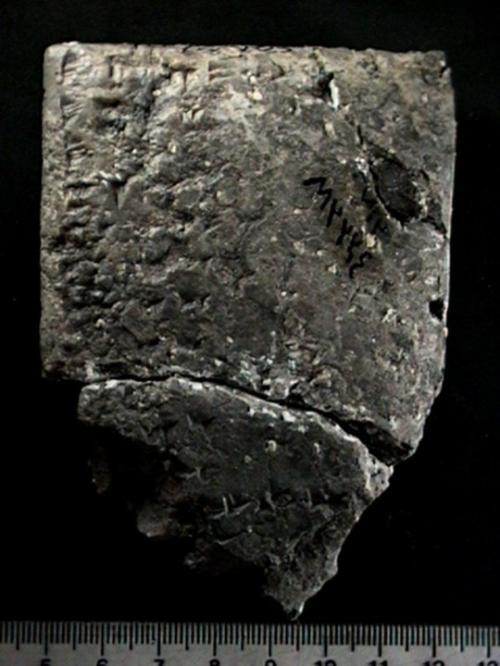 KTU_1_47.jpg