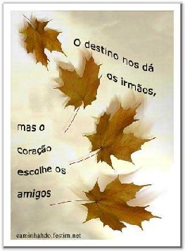 Opinião: Amizades