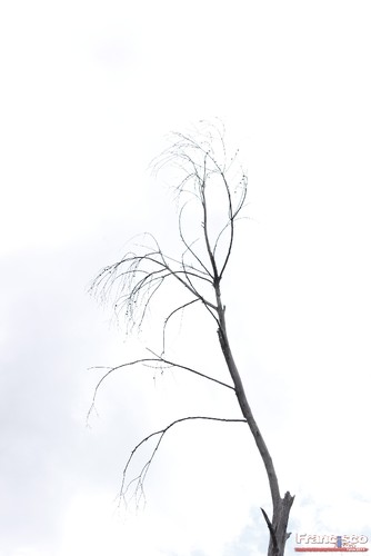 Galeria: Inverno