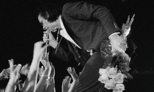 nickcave22.png
