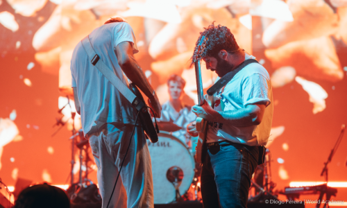 foals.png