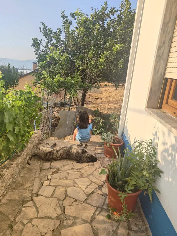 Começar o dia na quinta