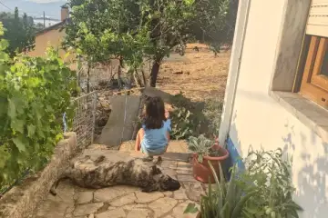 Começar o dia na quinta