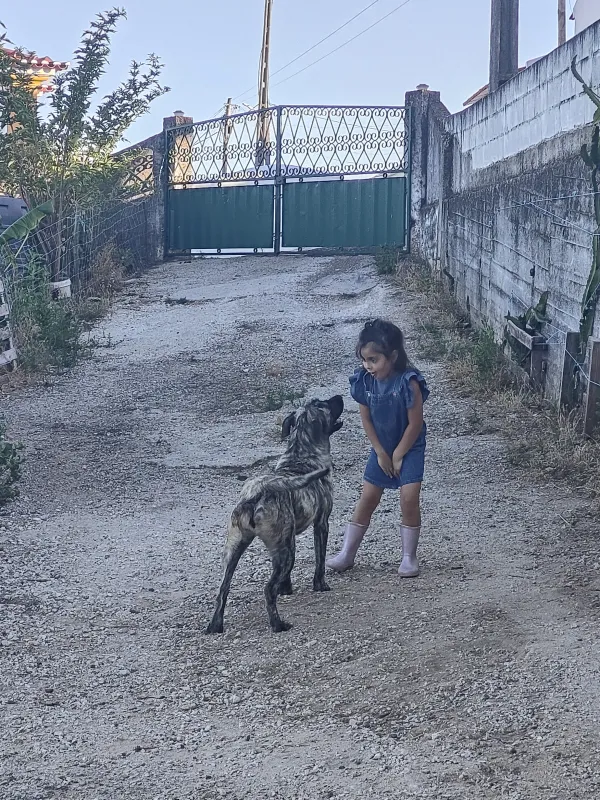 Na quinta terminamos assim os dias