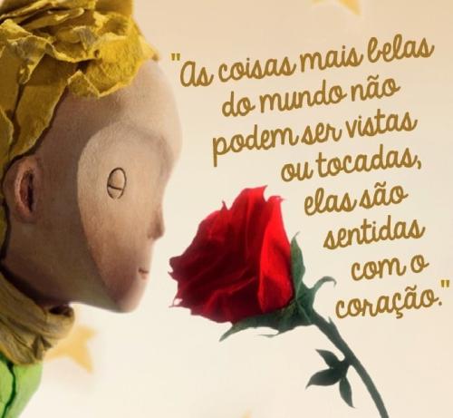 citações: coisas belas