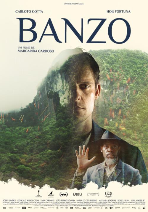 do cinema ideal