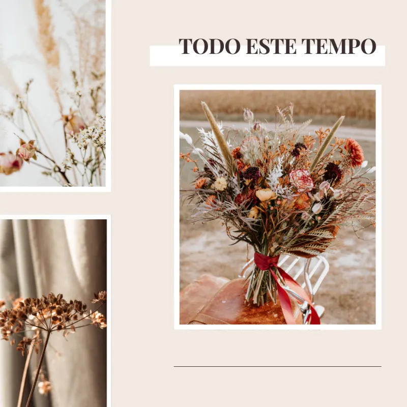 Todo este tempo