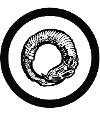 Wormholedeath_logo_NOVO_2016_steven-art-preto_pequeno-removebg-preview