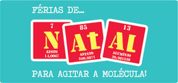 19 dias