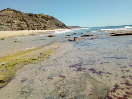 Areia branca 3.jpg