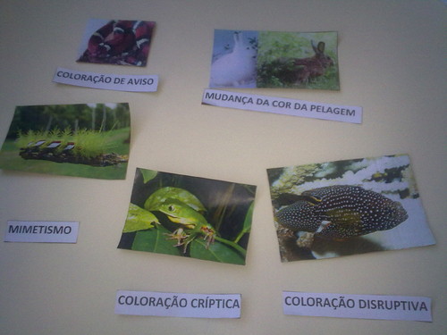 Carnaval na Natureza