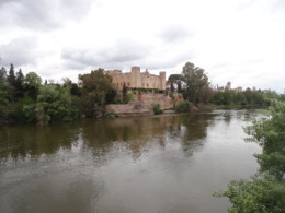 DSC00683.JPG
