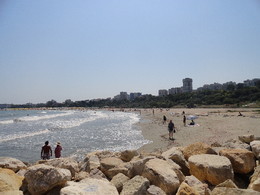 DSC08182.JPG