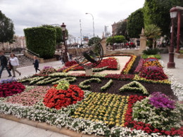 DSC00838.JPG