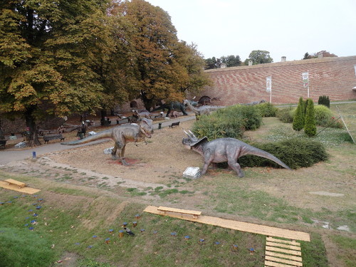 DSC08262.JPG