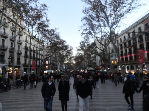 DSC00516.JPG