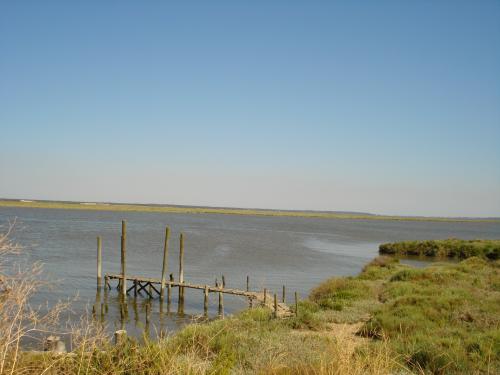 Estuário do Tejo