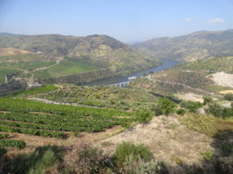 DSC09384.JPG